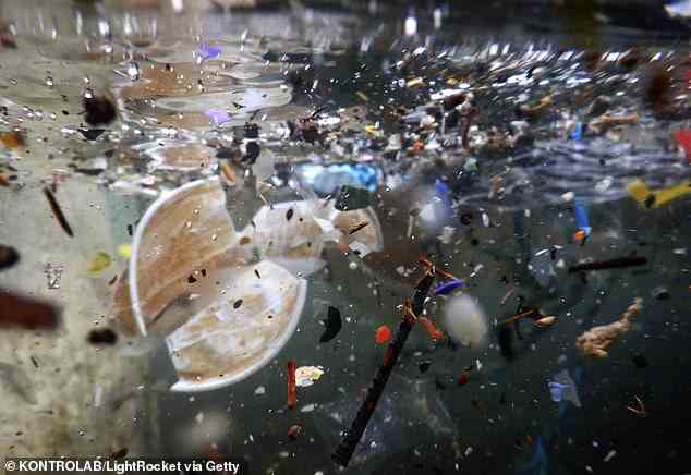 Wissenschaftler analysierten 573 Kilogramm trockenen Hartplastikabfall, den sie 2019 mit Hilfe der Organisation The Ocean Cleanup gesammelt hatten