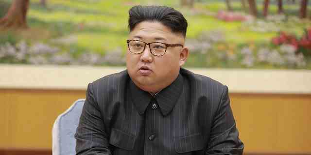 Dieses Bild, das am 3. September 2017 aufgenommen und am 4. September 2017 von Nordkoreas offizieller Korean Central News Agency (KCNA) veröffentlicht wurde, zeigt den nordkoreanischen Führer Kim Jong-Un bei einem Treffen 