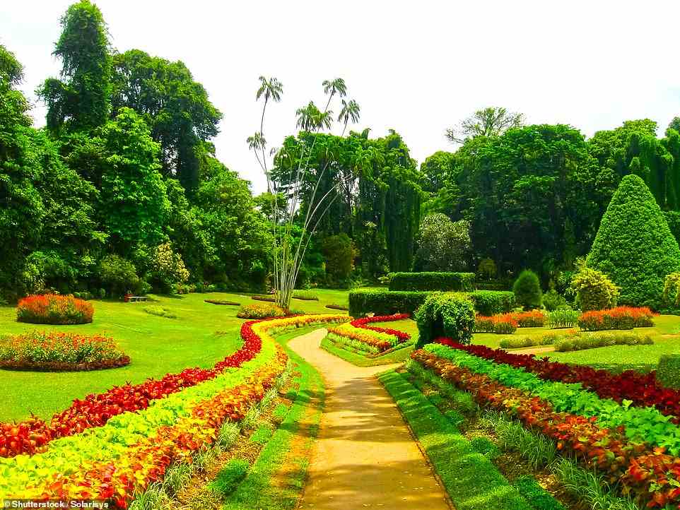 Die 15-Nächte-Tour von Abercrombie & Kent durch Sri Lanka führt Sie zu Sehenswürdigkeiten wie den Royal Botanical Gardens (im Bild)