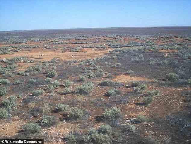 Die Nullarbor-Ebene in Südaustralien (im Bild) ist jetzt eine extrem flache und fast konturlose Fläche auf Kalksteinfelsen, die sich über 600 Meilen erstreckt