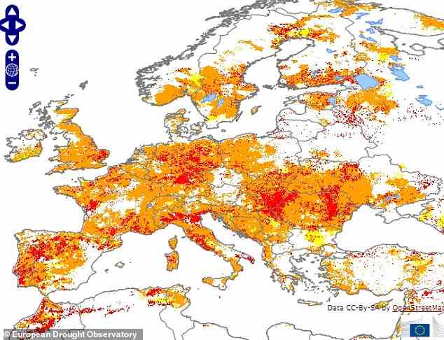 Knochentrocken: Fast die Hälfte des EU-Landes wurde aufgrund einer Kombination aus Hitzewellen und einem „weiten und anhaltenden“ Mangel an Regen vor Dürre oder Schlimmerem gewarnt, warnen Experten.  Eine Karte (im Bild) zeigt die am stärksten gefährdeten Länder.  Bereiche in Orange befinden sich unter „Warn“-Bedingungen, während 15 Prozent des Landes in den schwersten „Alarm“-Zustand übergegangen sind (in Rot dargestellt).