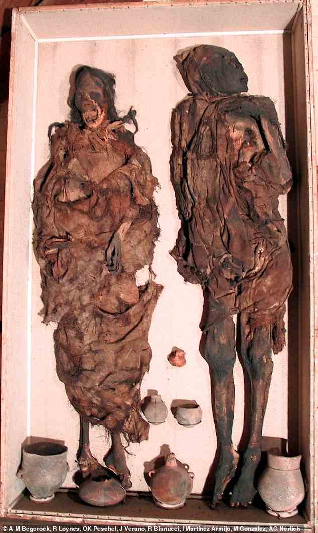Die männlichen (rechts) und weiblichen (links) Mumien von Delémont stammten aufgrund der Keramik unter den Grabbeigaben wahrscheinlich aus der Region Arequipa im heutigen Südwesten Perus.  Beide wurden mit dem Gesicht nach oben begraben, was für Mumien aus dem südamerikanischen Hochland ungewöhnlich ist