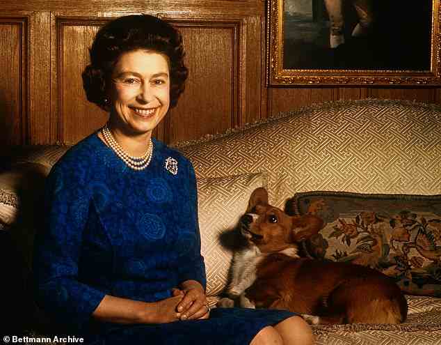 Her Majesty's lifelong commitment to her beloved pets helped her show a more candid side to the world, even writing to 'wickedly funny' letters from her Corgis to Jack Russells belonging to her former equerry Sir Blair Stewart-Wilson. Pictured in Sandringham with one of the pets
