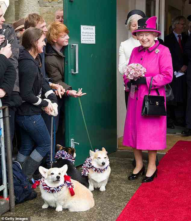 Gratulanten haben immer ihre Corgis mitgebracht, um die Königin bei ihren Rundgängen zu begrüßen.  Abgebildet während eines Besuchs in Sherborne Abbey am 1. Mai 2012