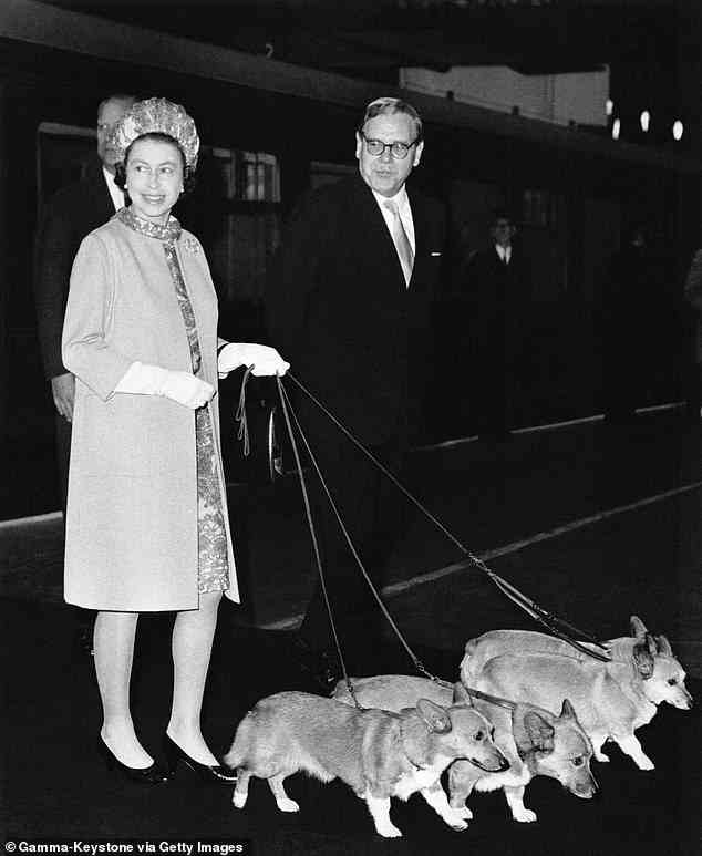 The Monarch walking her four Corgis in King's Cross in October 1969 upon returning to London from Balmoral