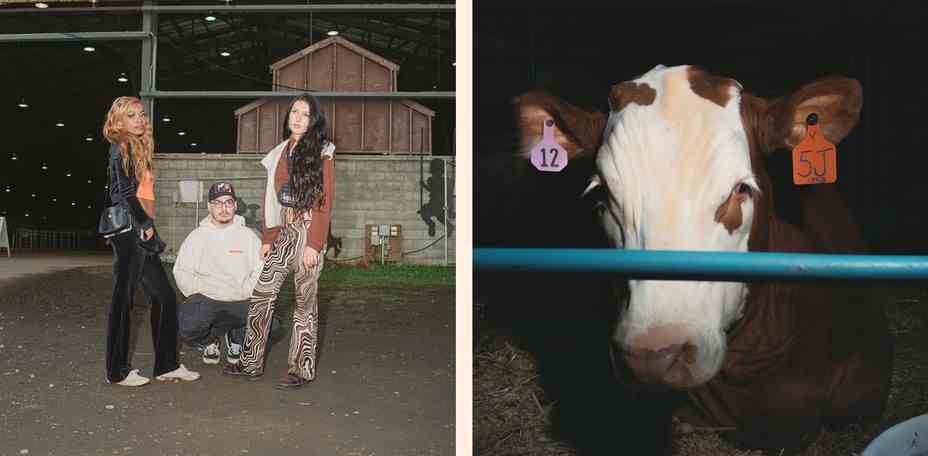 Diptychon: 3 stylische Menschen posieren in einer Scheune;  eine Kuh
