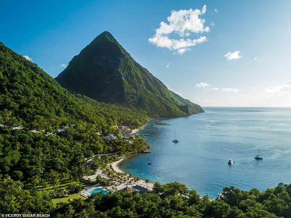 At the super-luxe Sugar Beach on St Lucia, pictured, every suite comes with its own infinity pool with views of either the Caribbean Sea or the Pitons