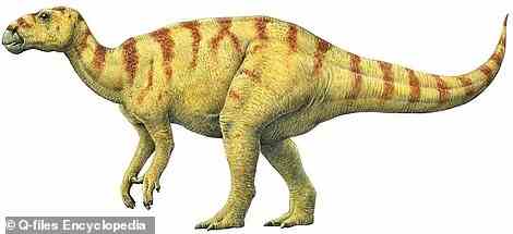 Thomas Carr, ein Paläontologe vom Carthage College in Wisconsin, sagte gegenüber DailyMail.com, dass es keine Iguanodon-Arten aus dem späten Jura Nordamerikas gibt, als das Auktionshaus sagt, dass dieser Dinosaurier die Erde durchstreifte