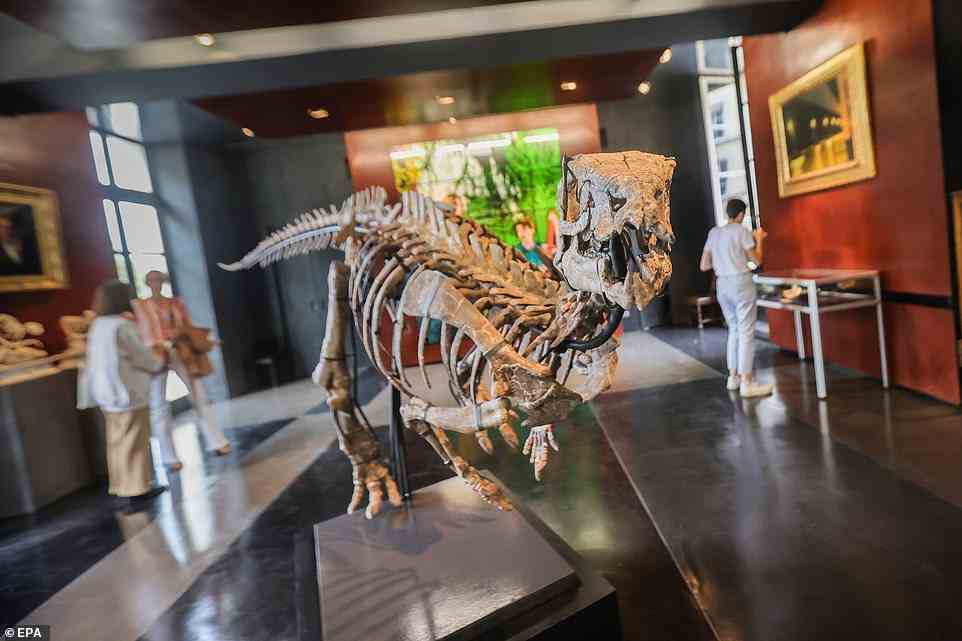 Paläontologen sind nicht nur unglücklich über den zukünftigen Verkauf, man glaubt auch, dass das Exemplar falsch identifiziert wurde und tatsächlich ein Camptosaurus ist – auch ein Pflanzenfresser