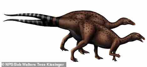 Carr schlägt vor, dass es sich tatsächlich um einen Camptosaurus handelt.  Die beiden sehen sich sehr ähnlich