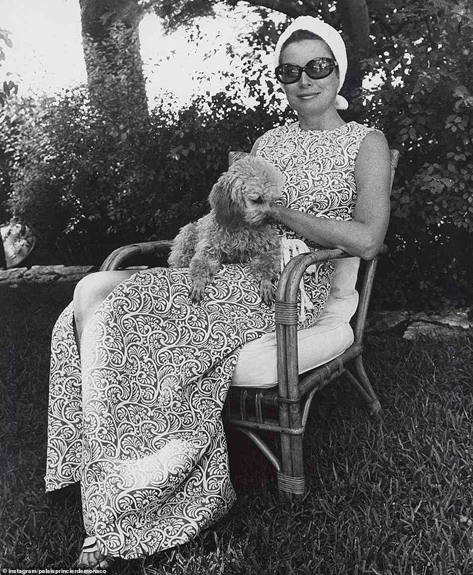 Die Prinzessin stellte sich entspannt mit einem Hund vor, während sie eine große Sonnenbrille im Hollywood-Stil trug