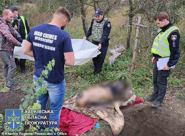 Ukrainische Ermittler von Kriegsverbrechen untersuchen die Leiche eines Zivilisten, der im Dorf Zaliznychne in der Region Charkiw entdeckt wurde und von russischen Truppen gefoltert und getötet wurde
