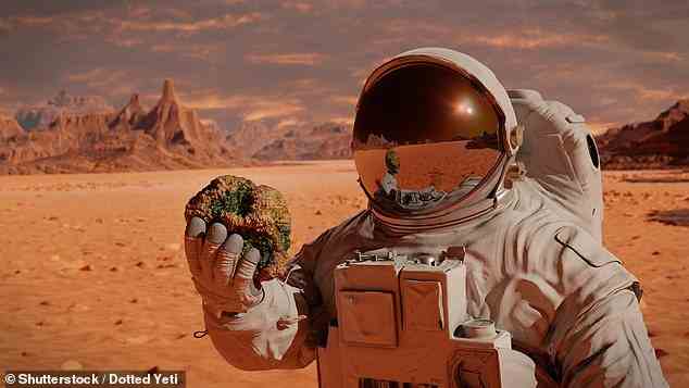 Die Forscher entdeckten, dass kleine Mengen von simuliertem zerkleinertem Marsgestein gemischt mit einer Titanlegierung ein starkes Hochleistungsmaterial ergeben