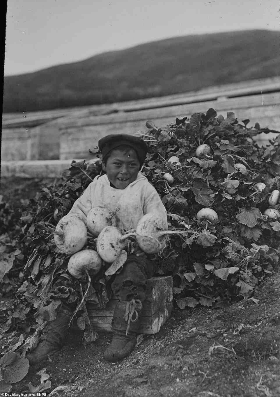 An Inuit child with vegetables smiles broadly going about their daily lives during the 19th century before the Spanish Flu killed one third of the population