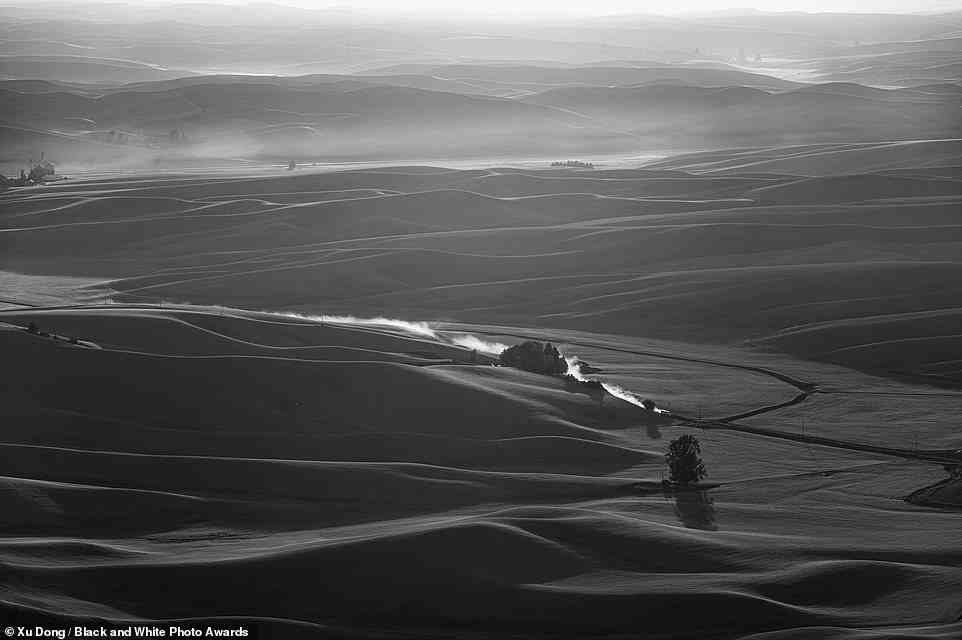 Dieses spektakuläre Landschaftsbild verdient eine „Bronze-Erwähnung“ in der Kategorie „Landschaft“.  Es wurde vom Fotografen Xu Dong aufgenommen, der ihm den Titel „Country Road Take Me Home“ gibt.