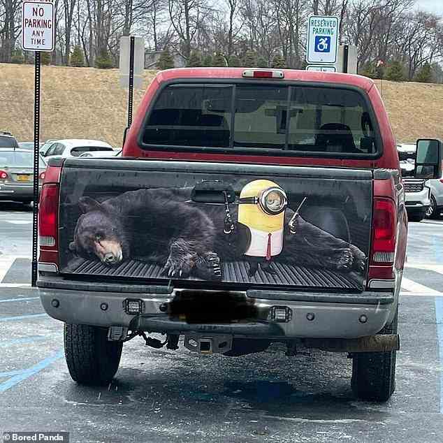 Ein Fahrer aus den USA schmückte seinen Truck mit einem rätselhaften, aber unterhaltsamen Bild eines Dieners von „Ich – Einfach Unverbesserlich“ und eines Bären