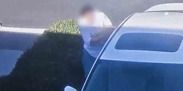 Ein Mann greift in einem kalifornischen Einkaufszentrum in ein geparktes Auto, um einen Hund mitzunehmen.  Die Polizei von Irvine identifizierte ihn später als den 38-jährigen Earl Choi aus Fullerton.