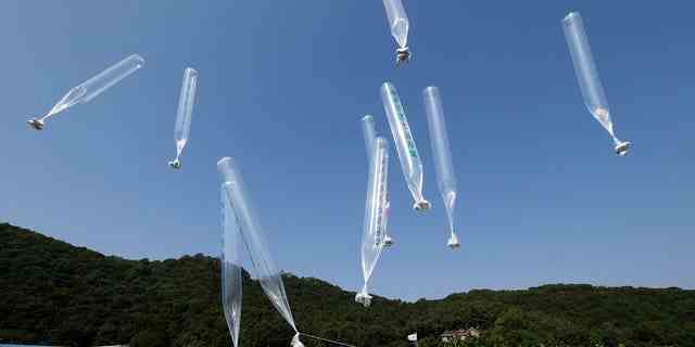 Nordkoran-Überläufer lassen am 10. Oktober 2014 in Paju, nahe der Grenze zu Nordkorea, Südkorea, Luftballons mit Flugblättern los, die den nordkoreanischen Führer Kim Jong Un und die Politik seiner Regierung verurteilen.