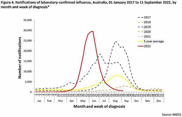 The graph shows the number of lab0-confirmed flu cases in Australia. The country confirmed six-times more flu cases than normal at its peak in June. The spike saw some scientists call for a return of Covid-like curbs