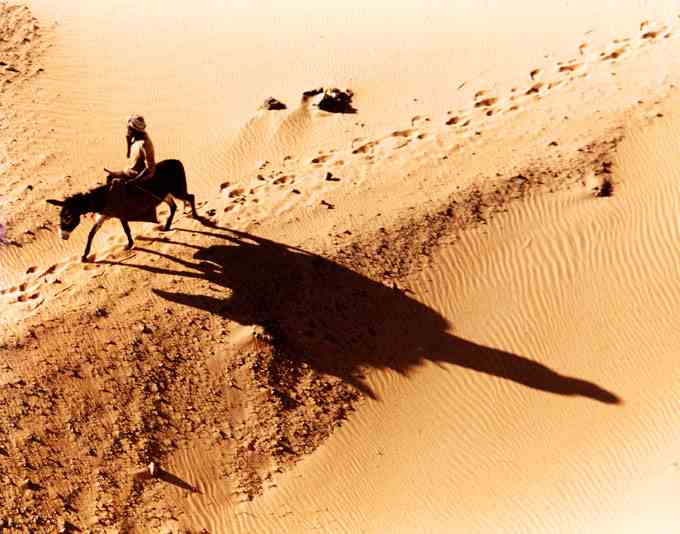 Luftaufnahme von jemandem, der auf einem Esel durch eine Wüstenumgebung reitet