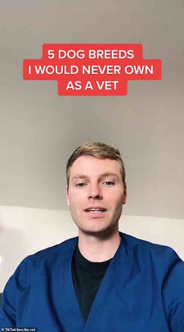 TikTok-Schöpfer – und Tierarzt – Ben the Vet (im Bild) skizzierte fünf Hunderassen, die er niemals besitzen würde, in einem Video, das auf der Plattform viral wurde