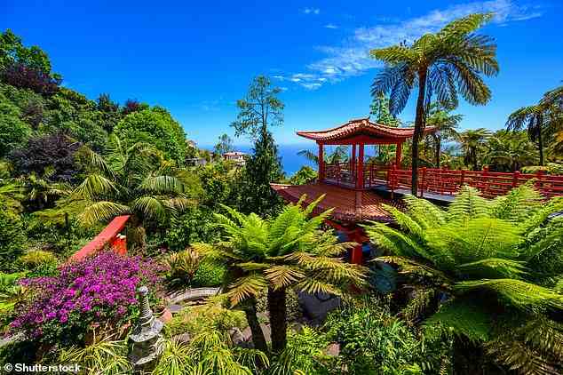 Lebhaft: Besichtigen Sie einige der schönsten Gärten Madeiras, wie den Monte Palace Tropical Garden (im Bild), auf der exklusiven achttägigen Reise von The Mail on Sunday