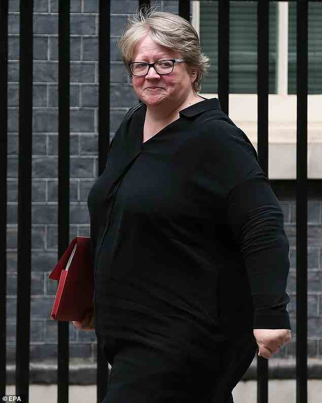 Therese Coffey (im Bild) hat sich geschworen, die Bettblockierungskrise des NHS mit der Einrichtung eines Notfallfonds in Höhe von 500 Millionen Pfund zu bekämpfen