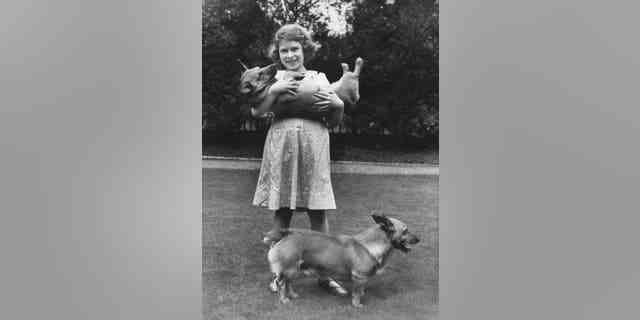 Prinzessin Elizabeth mit zwei Corgi-Hunden in ihrem Haus in London im Juli 1936.