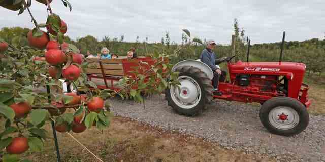 Lowell Johnson of Apple Jack Orchard in Delano, Minnesota, gave Children of Tomorrow Daycare of Waconia a tour of his apple orchard. 