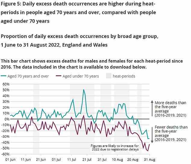 Die Grafik des ONS zeigt den Anteil der täglichen Todesfälle unter den über 70-Jährigen (blaue Linie) und unter 70-Jährigen (rosa Linie) in England und Wales.  Die Sterblichkeitsraten stiegen in beiden Kohorten während Hitzewellen (dargestellt in grauen Balken), obwohl die Todesfälle bei den unter 70-Jährigen immer noch weit unter dem Fünfjahresdurchschnitt lagen