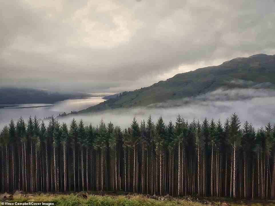Vince Campbell, der Zweitplatzierte für Mobiltelefone, machte sein Foto „Scotch Mist“ bei einem Zwischenstopp in Tarbet, Loch Lomond in Schottland, bei einer morgendlichen Wanderung mit seinen beiden Hunden