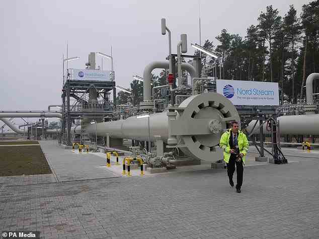 Nord Stream 1 and Nord Stream 2 are two pipelines linking Russia and Germany, owned by Russia. Pictured, a Nord Stream terminal in Germany