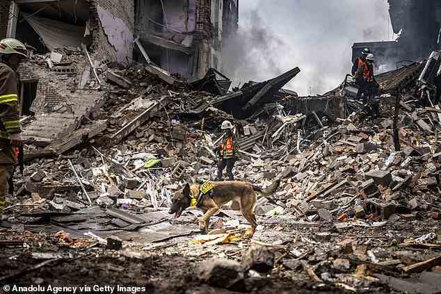 Ein Spürhund durchsucht die Ruinen eines zerstörten Wohnhauses in der Stadt Saporischschja nach Überlebenden nach dem Einschlag einer russischen Rakete