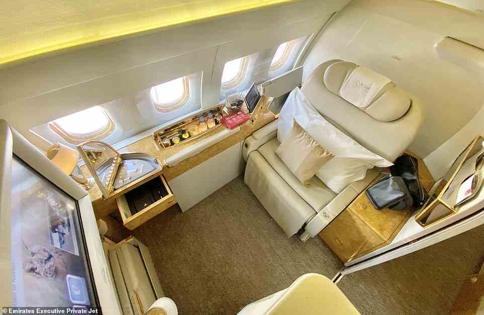 The jet was custom created, says Roar Africa, for 'discerning guests' who want to go 'beyond first class'