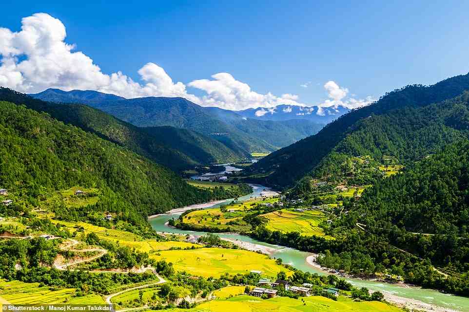 On his hike, Ivo enters the 'exquisite' Punakha Valley (pictured) and finds that it's 'just like a film set image of lime-green rice paddies — bisected by the mighty Mo Chhu river'