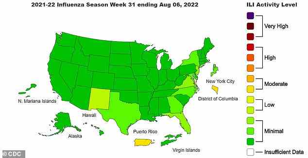 Anfang August waren die Grippefallraten in den USA relativ stabil.  Washington DC war das einzige US-Gebiet mit moderaten Werten.  New Mexico hatte niedrige Raten, und der Rest der Staaten hatte nur minimale Fälle