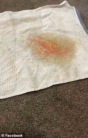 Eine Mutter von sechs Kindern hat ein Bügeleisen, ein Handtuch und ein Nifti-Reinigungsspray verwendet, um unerwünschte Teppichflecken zu entfernen