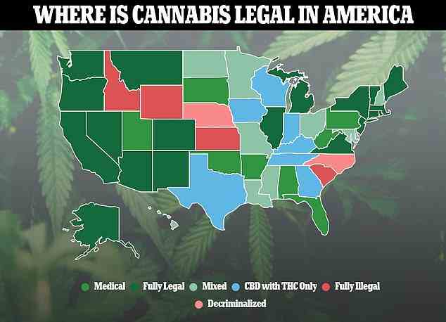 Das Obige zeigt den Cannabiskonsum in den amerikanischen Bundesstaaten.  Einundzwanzig Staaten und DC haben es zusätzlich zur medizinischen Verwendung für den Freizeitgebrauch legalisiert, während fast alle jetzt die Verwendung für medizinische Zwecke zulassen.