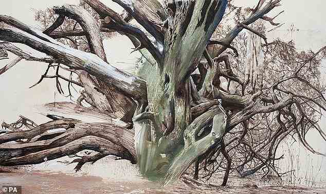 This drawing by Mary Anne Aytoun-Ellis of shows the Crom Yew, which is actually two yews entwined together