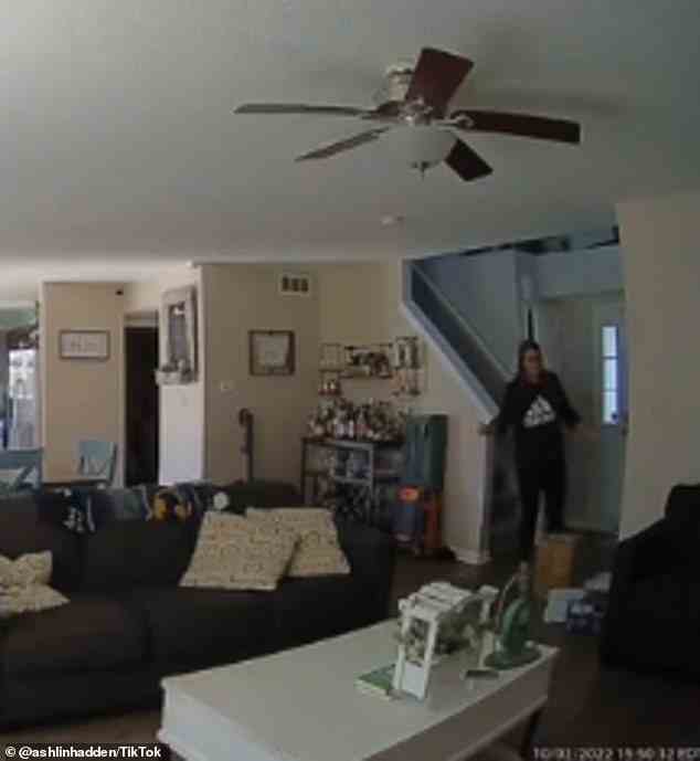 Nachdem ihr erstes Video viral geworden war, teilte Ashlin später Ring-Kameraaufnahmen von sich selbst, die durch das Haus gingen und versuchten, Stripes zu finden