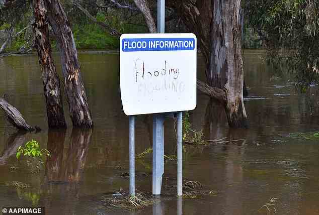 The flooded Lachlan River in NSW as downpours continue to smash the east coast of Australia