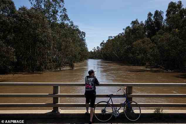 Victoria SES chief operations officer Tim Wiebusch warned river levels were rising at a rapid pace (pictured, Goulburn River in Victoria)