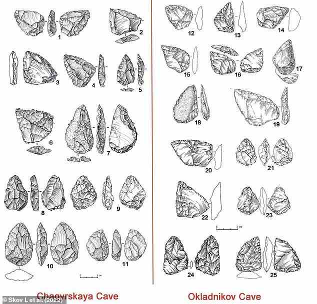 Neanderthals briefly occupied the Chagyrskaya and Okladnikov caves around 54,000 years ago, leaving several hundred thousand stone tools (pictured) and animal bones