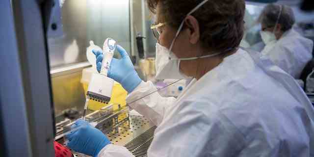 Mitarbeiter des Gesundheitswesens arbeiten in einem Forschungslabor an der Vorbereitung von Bewertungstupfern für Coronavirus.