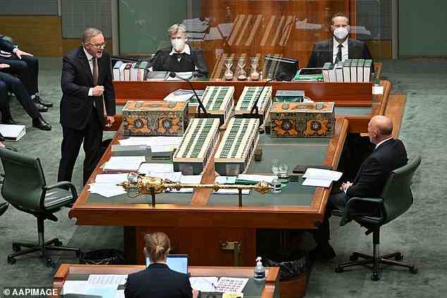 Herr Anthony schreit "Queenslander" während der Fragestunde, nachdem er Peter Dutton verspottet hatte