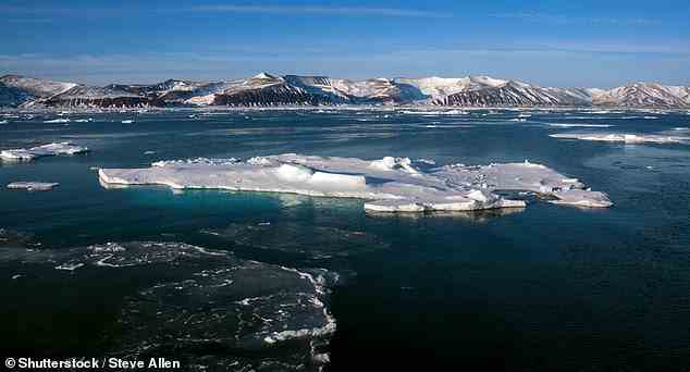 Das Flusssystem befindet sich in einem weitgehend unzugänglichen und wenig untersuchten Gebiet, das Eis sowohl aus den ost- als auch aus den westantarktischen Eisschilden umfasst und das Weddellmeer erreicht.  Im Bild: Meereis im Weddellmeer und an der Küste der Antarktischen Halbinsel