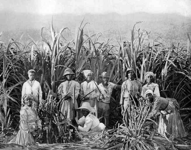 Ein Schwarz-Weiß-Bild von Arbeitern, die auf einem Feld stehen