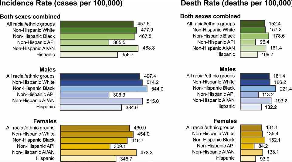 Diese Grafik zeigt die Inzidenzrate und Todesrate für Krebserkrankungen nach Geschlecht und ethnischer Gruppe