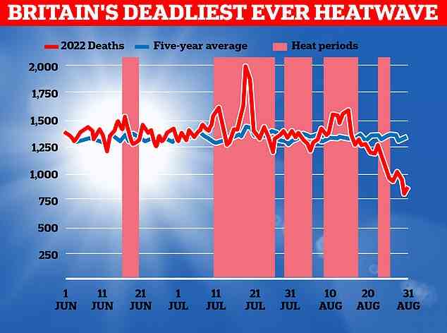Die Grafik zeigt die Anzahl der täglichen Todesfälle zwischen Juni und August 2022 (rote Linie), den Fünfjahresdurchschnitt der täglichen Todesfälle (blaue Linie) und Hitzewellenperioden (rote Balken)