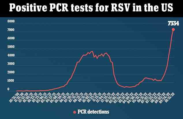 The above graph shows the number of positive tests for RSV viruses by date in the United States. It reveals they have now reached their highest levels since 2020, before the pandemic began. Data is from the Centers for Disease Control and Prevention